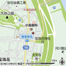 埼玉県春日部市西宝珠花16周辺の地図