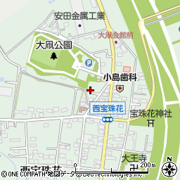 埼玉県春日部市西宝珠花676周辺の地図