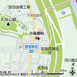 埼玉県春日部市西宝珠花19周辺の地図