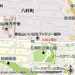 東松山いいはなファミリー歯科周辺の地図