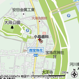 埼玉県春日部市西宝珠花21周辺の地図
