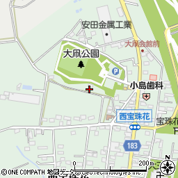 埼玉県春日部市西宝珠花679周辺の地図
