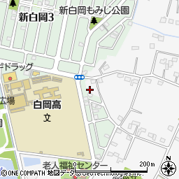 埼玉県白岡市高岩1999-2周辺の地図