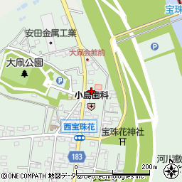 埼玉県春日部市西宝珠花693周辺の地図