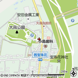 埼玉県春日部市西宝珠花635周辺の地図