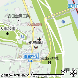 埼玉県春日部市西宝珠花700周辺の地図