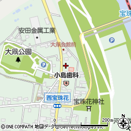 埼玉県春日部市西宝珠花695周辺の地図
