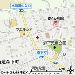 茨城県常総市水海道森下町4516-1周辺の地図