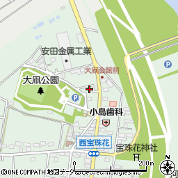 埼玉県春日部市西宝珠花632周辺の地図