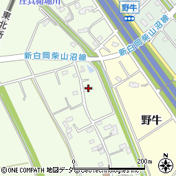 埼玉県白岡市篠津2813周辺の地図