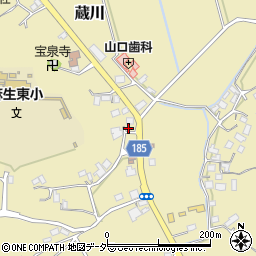茨城県行方市蔵川413-1周辺の地図