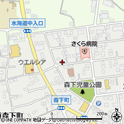 茨城県常総市水海道森下町4435-2周辺の地図