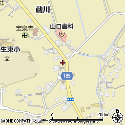 茨城県行方市蔵川413周辺の地図