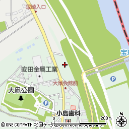 埼玉県春日部市西宝珠花648周辺の地図