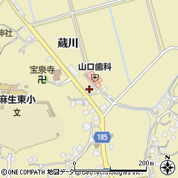 茨城県行方市蔵川426周辺の地図