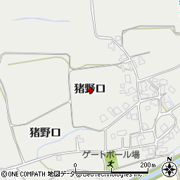 福井県勝山市猪野口周辺の地図