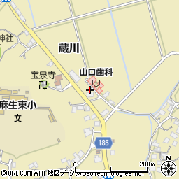 茨城県行方市蔵川431周辺の地図