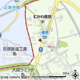 埼玉県白岡市篠津10周辺の地図