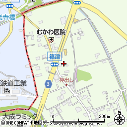 埼玉県白岡市篠津47周辺の地図