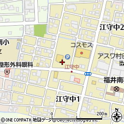 福井県福井市江守中周辺の地図