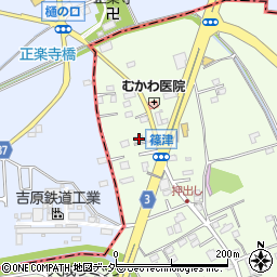 埼玉県白岡市篠津17周辺の地図