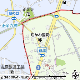 埼玉県白岡市篠津42周辺の地図
