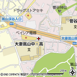 埼玉県比企郡嵐山町菅谷549-2周辺の地図