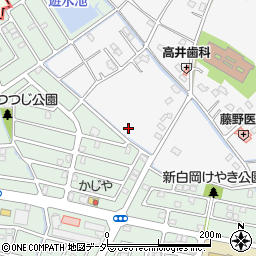埼玉県白岡市高岩914周辺の地図