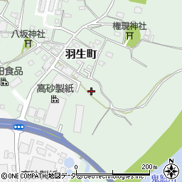 茨城県常総市羽生町691周辺の地図