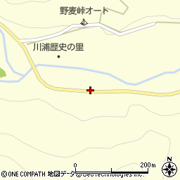 長野県松本市奈川8周辺の地図