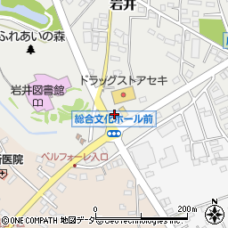 セブンイレブン坂東総合文化ホール前店周辺の地図