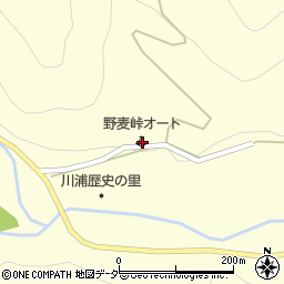 長野県松本市奈川29周辺の地図