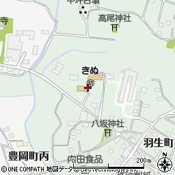 茨城県常総市羽生町944周辺の地図