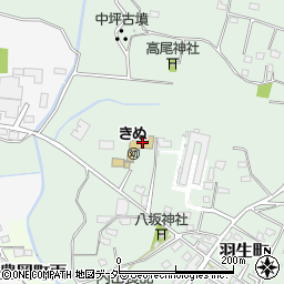 茨城県常総市羽生町946周辺の地図
