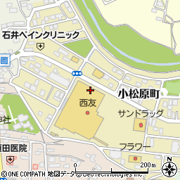 ＡＬＭＳｔａｔｉｏｎ西友東松山店周辺の地図