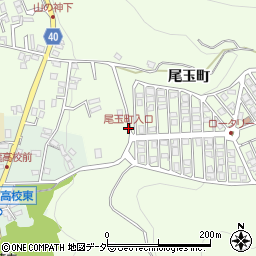尾玉町入口周辺の地図