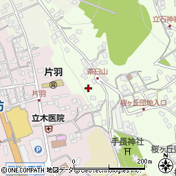長野県諏訪市上諏訪10738周辺の地図