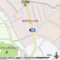茨城県坂東市猫実新田8周辺の地図