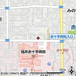 福井県福井市みのり3丁目10周辺の地図