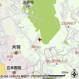 長野県諏訪市上諏訪10714周辺の地図