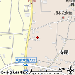 埼玉県秩父市寺尾245-4周辺の地図