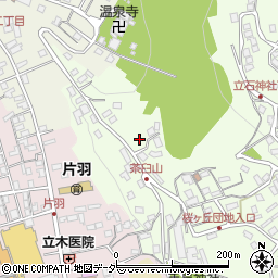 長野県諏訪市上諏訪10713周辺の地図