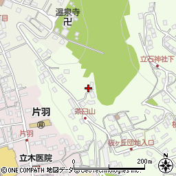 長野県諏訪市上諏訪10707周辺の地図