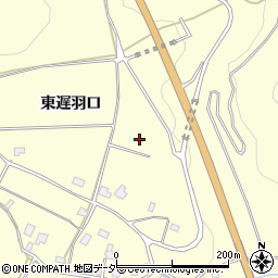 福井県勝山市鹿谷町東遅羽口周辺の地図