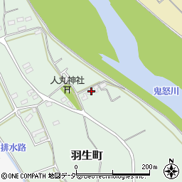 茨城県常総市羽生町228周辺の地図