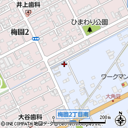 茨城県つくば市大角豆2011-325周辺の地図