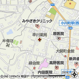早川薬局周辺の地図
