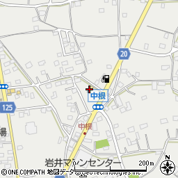 セブンイレブン岩井中根店周辺の地図