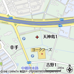埼玉県幸手市天神島周辺の地図
