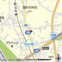 武蔵観光バス周辺の地図